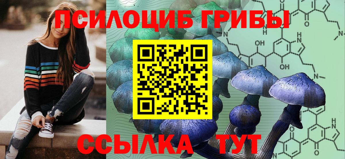 Галлюциногенные грибы Psilocybe Белгород